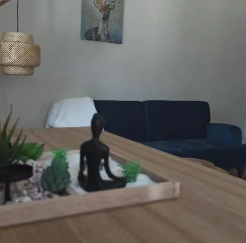 La Francois Premier 3* La Bourboule